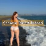 Çankaya Travesti Rehberi Hakkında bilgiler